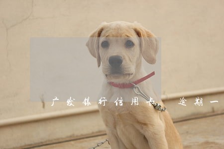 广发银行信用卡 逾期一个月 广发银行信用卡 逾期一个月